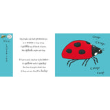 Axel Scheffler flip flap books 2+ years (British brand)