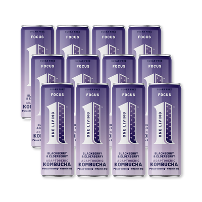 Holland & Barrett One Living FOCUS Blackberry & Elderberry Kombucha Drink (12 x 250ml)- Buy online at McGrocer