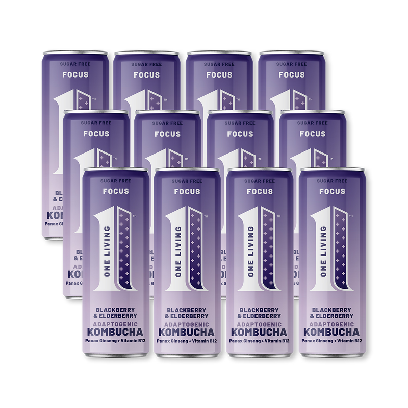 One Living blackberry & elderberry kombucha 12x250ml (British brand)