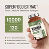 VitaBright Moringa leaf extract 10,000mg capsules 120 count, UK version