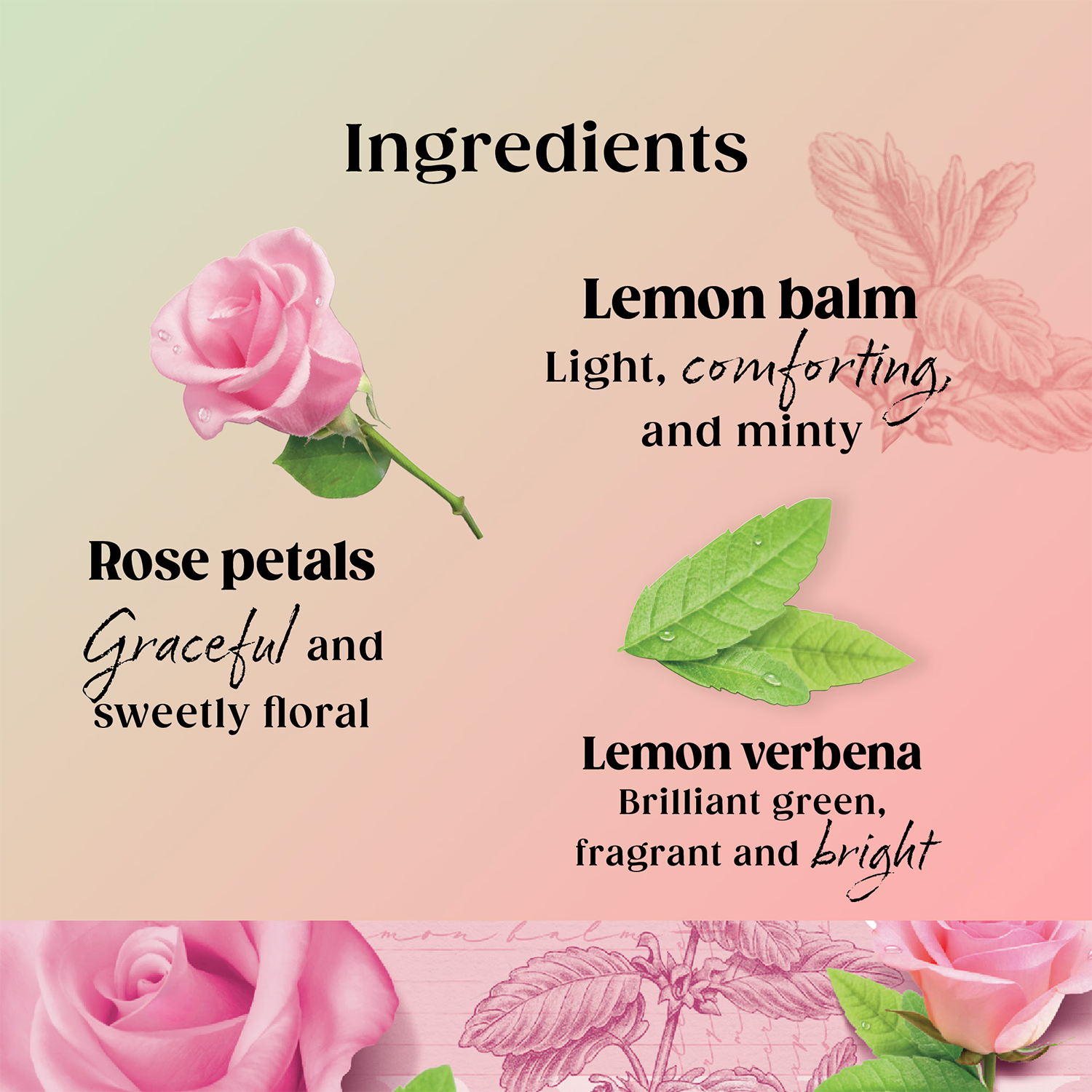 Hormone Balancing Herbal Tea with Rose Lemon Verbena and Vitamin B6 20 Teabags