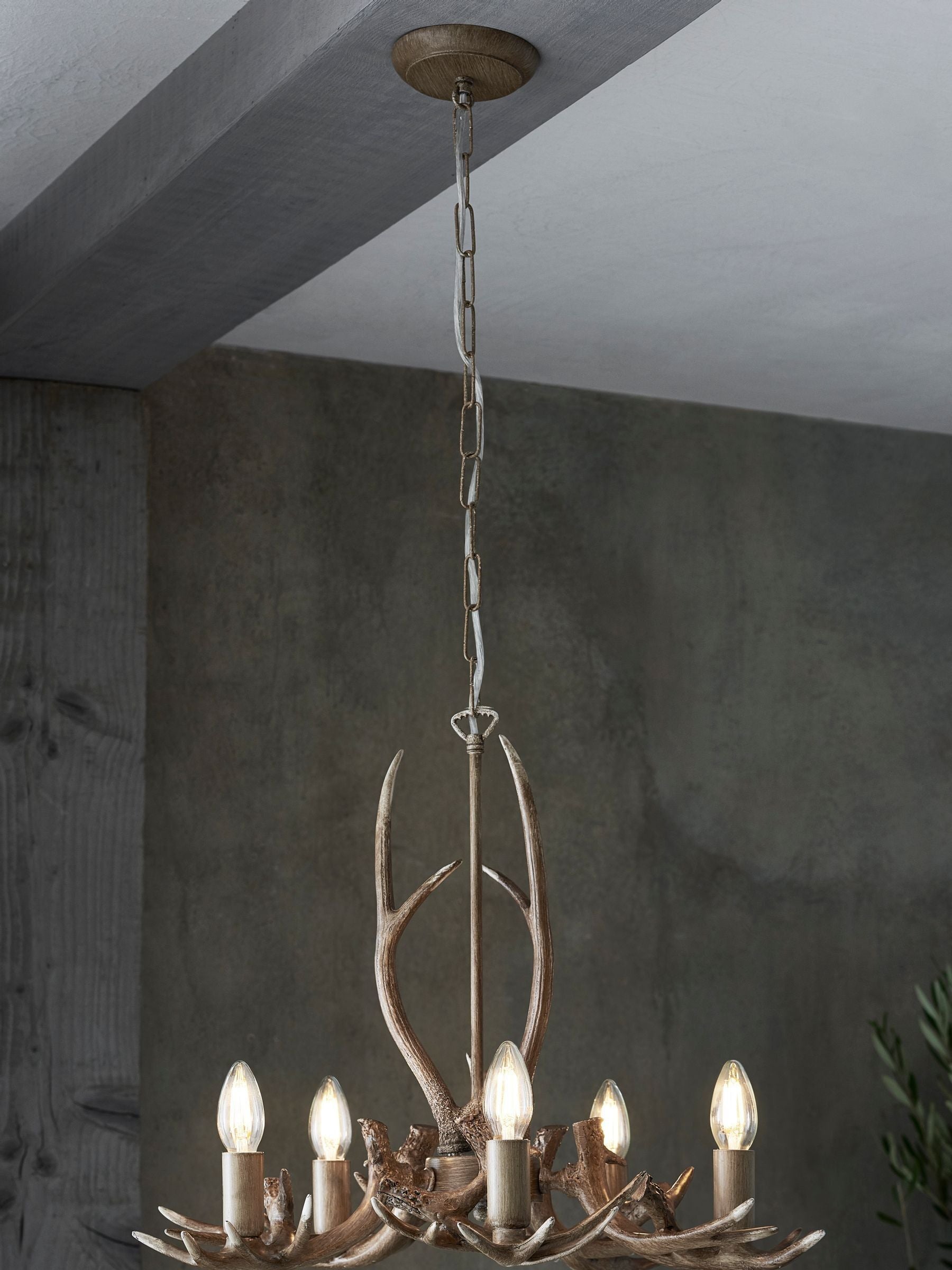 Natural antler ceiling light 5-light fitting, UK version