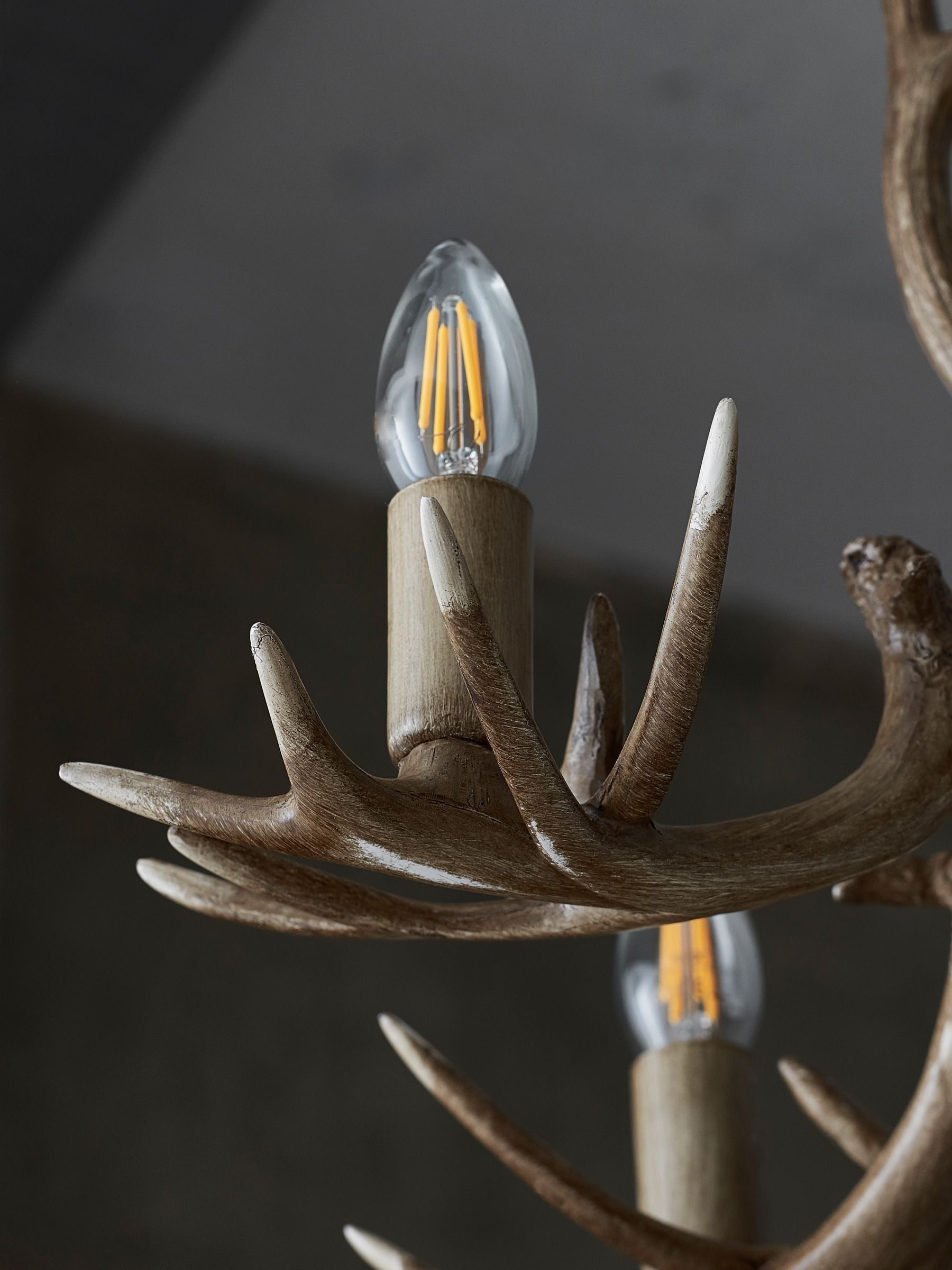 Natural antler ceiling light 5-light fitting, UK version