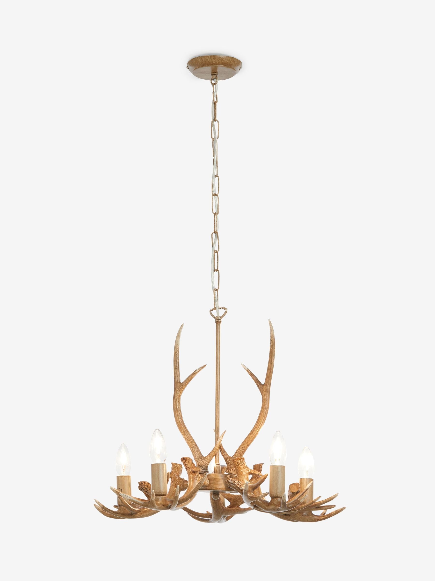 Natural antler ceiling light 5-light fitting, UK version