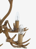 Natural antler ceiling light 5-light fitting, UK version