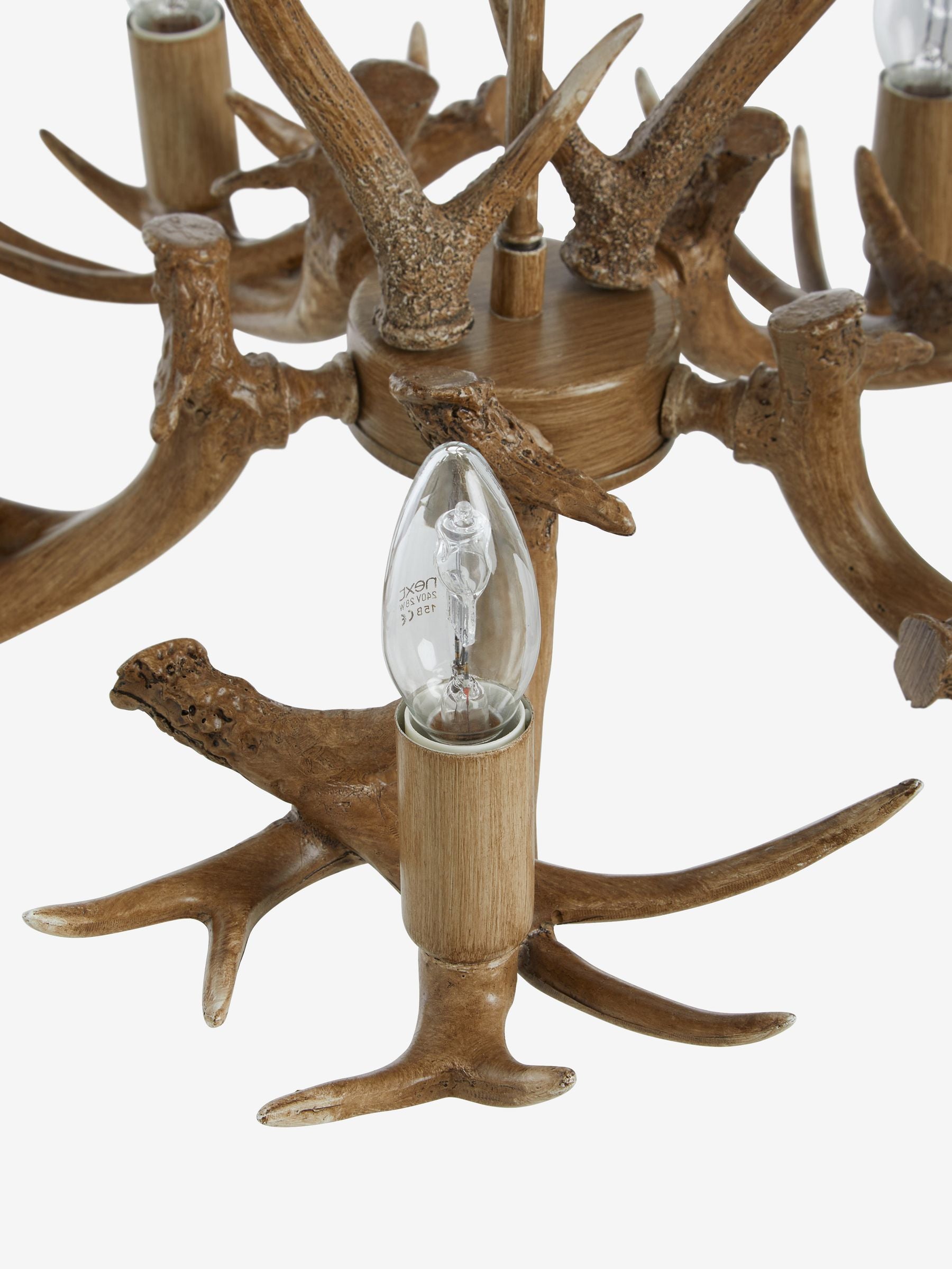 Natural antler ceiling light 5-light fitting, UK version