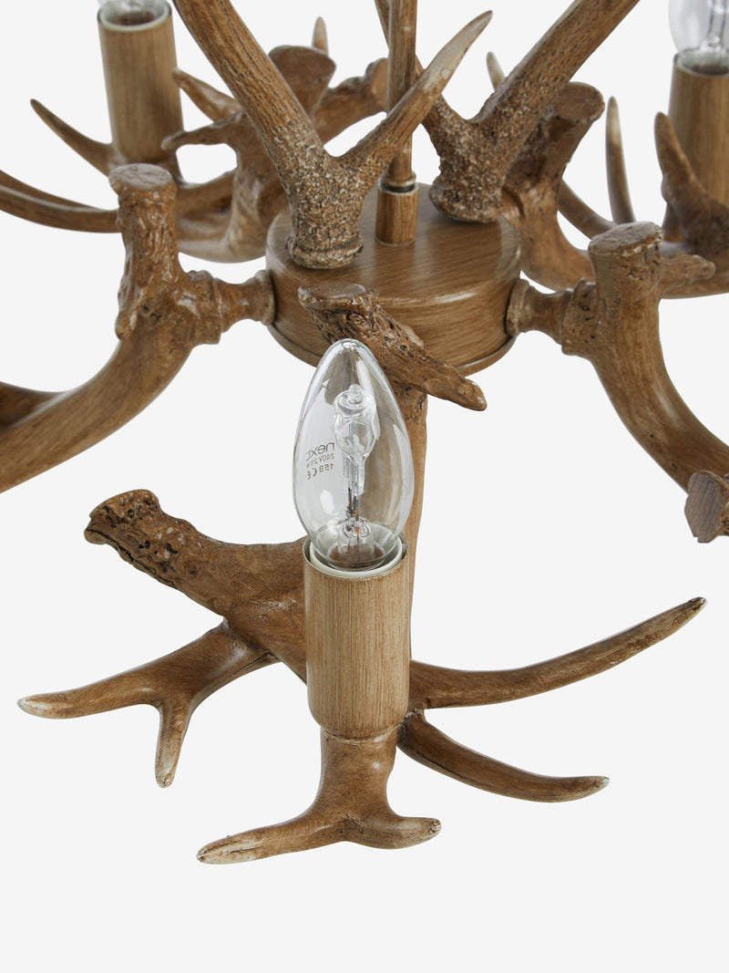 Natural antler ceiling light 5-light fitting, UK version
