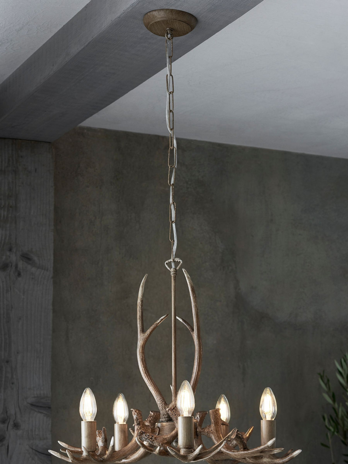 Natural antler ceiling light 5-light fitting, UK version
