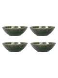 Mikasa Jardin green stoneware pasta bowl set of 4 - British product