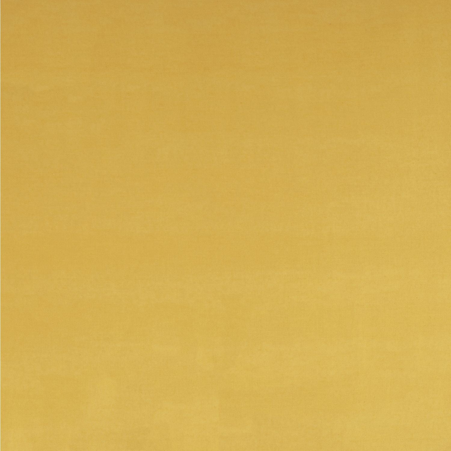 Habitat Cotton Rich 180 TC Standard Pillowcase Pair- Mustard