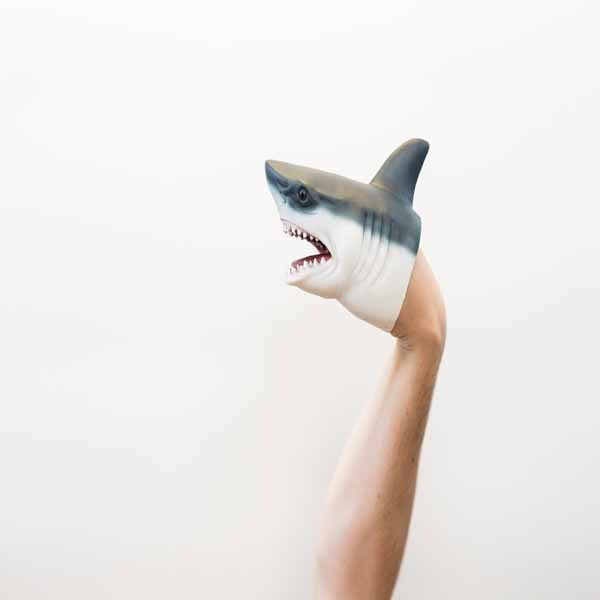 Wild Thingz shark hand puppet, imported from the UK