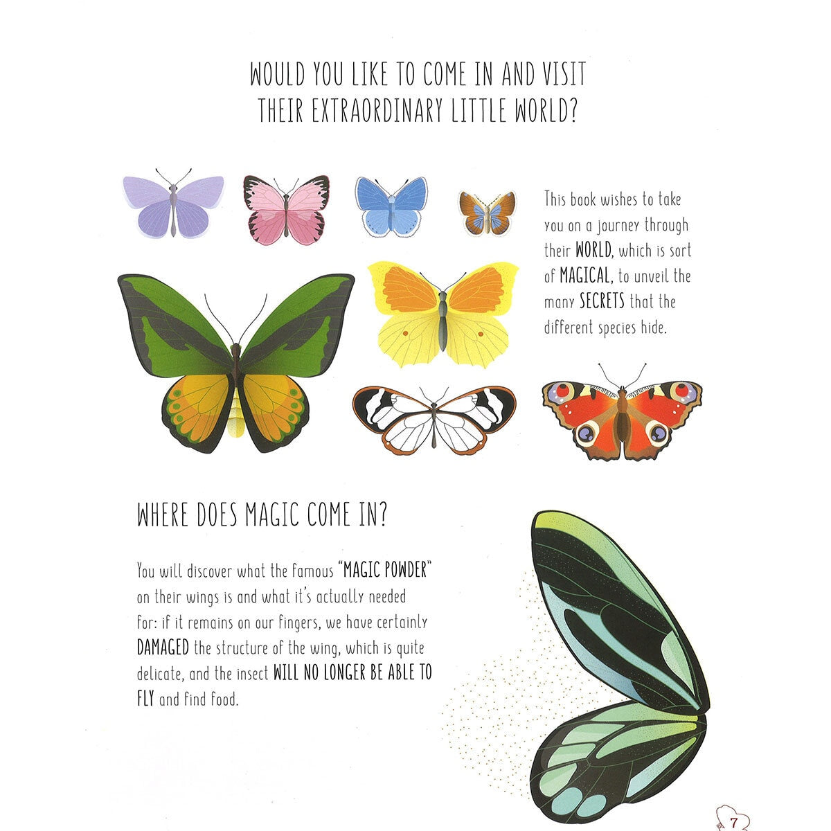 Children's hardback bee and butterfly book, UK version
