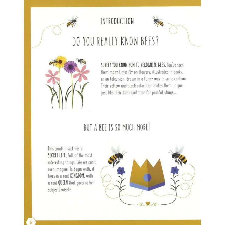 Children's hardback bee and butterfly book, UK version