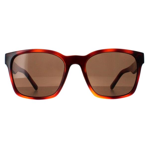 Salvatore Ferragamo brown women sunglasses SF959S (British brand)
