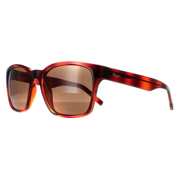 Salvatore Ferragamo brown women sunglasses SF959S (British brand)