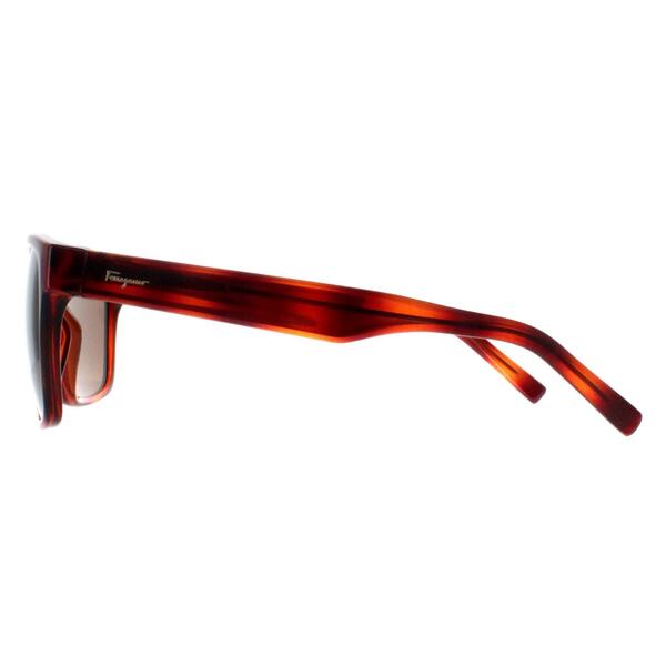 Salvatore Ferragamo brown women sunglasses SF959S (British brand)