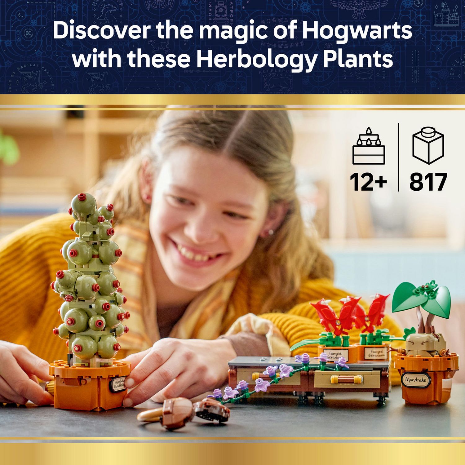 LEGO Harry Potter Herbology plants model kit box, UK version