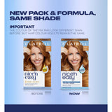 Clairol Permanent Hair Dye 8WR Golden Auburn - British product