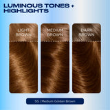 Clairol Nice'n Easy Permanent Hair Dye 5G Medium Golden Brown