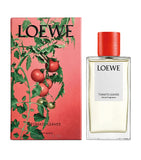 LOEWE Tomato Leaves Room Spray 150ml, UK version