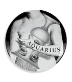 Fornasetti Zodiaco No. 358 wall plate 26cm - British product