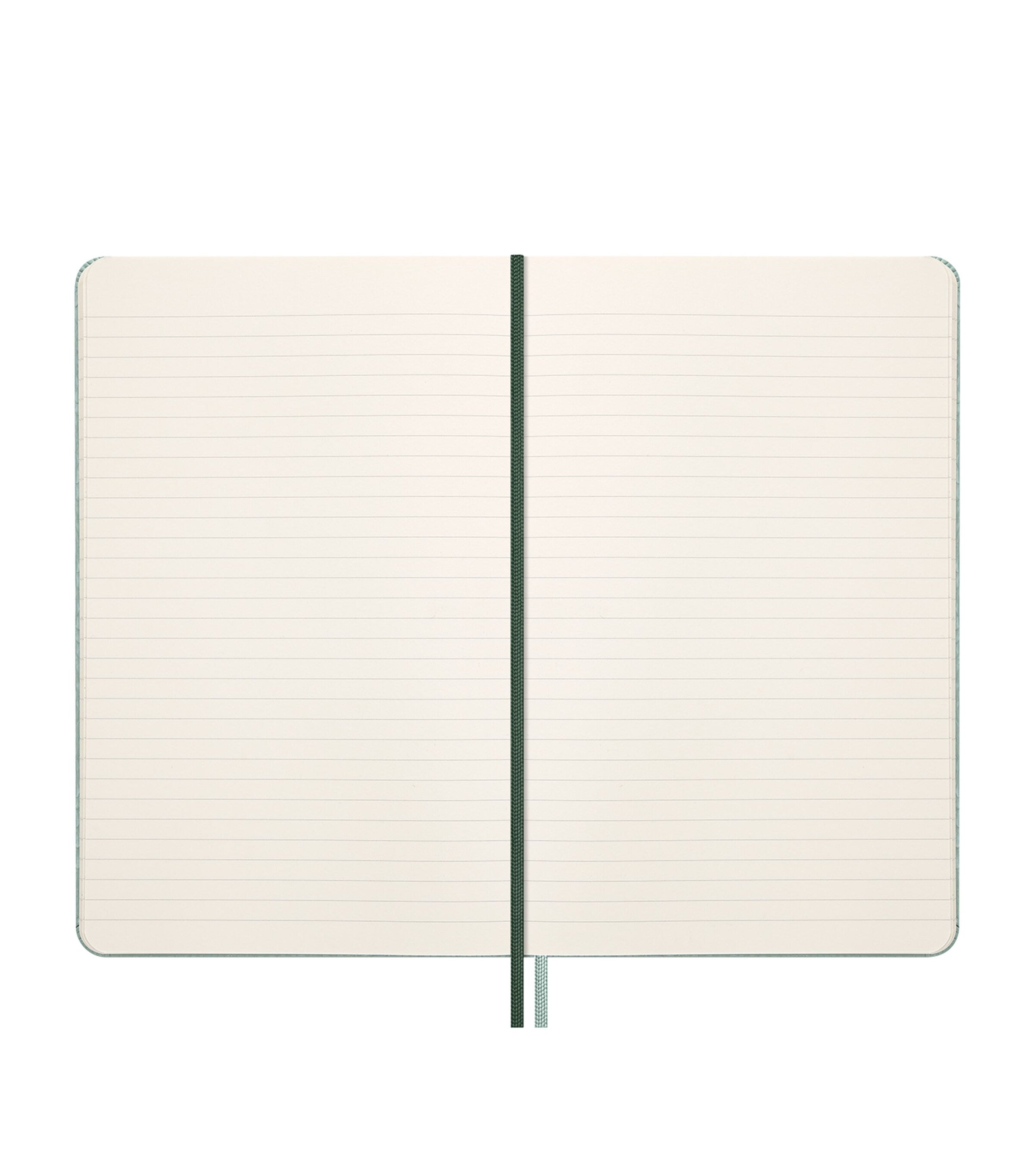 Moleskine Year of the Snake Notebook, imported from the UK