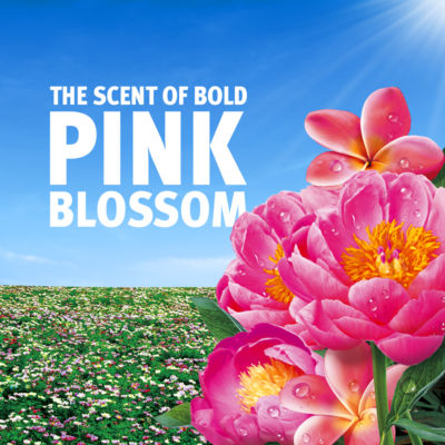 Bold Pink Blossom laundry detergent 1.767L (British brand)