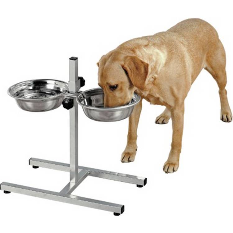 Stainless steel dual dog dining set large - British product