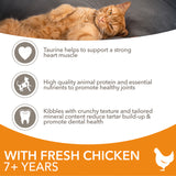 Iams senior dry cat food chicken 800g, UK version