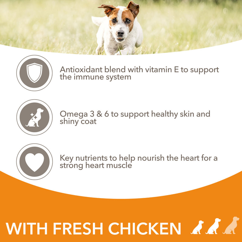 Iams Dry Dog Food Adult Small Medium Chicken 2kg, UK version