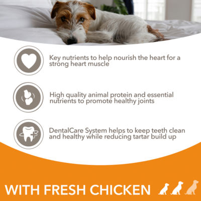 Iams Senior Small Medium Chicken Dry Dog Food 2kg, UK version
