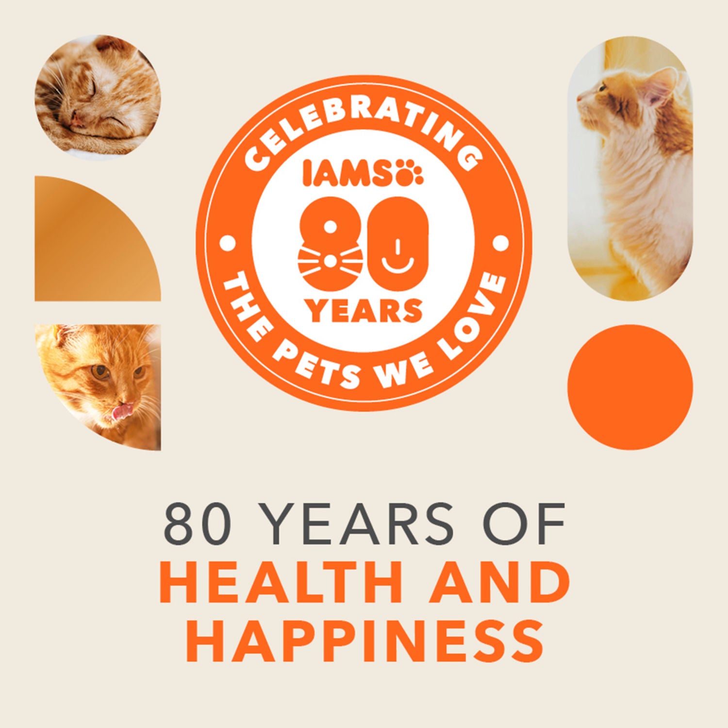 Iams cat food meat and fish mix 8x85g, UK version