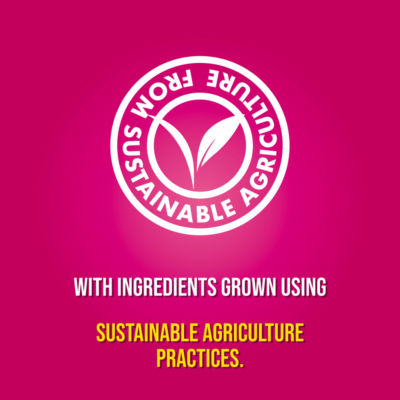 Pot Noodle Piri-Piri Chicken Instant Snack Noodle