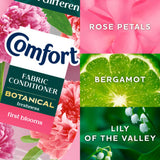 Comfort Botanical First Blooms fabric conditioner 570 ml, UK version