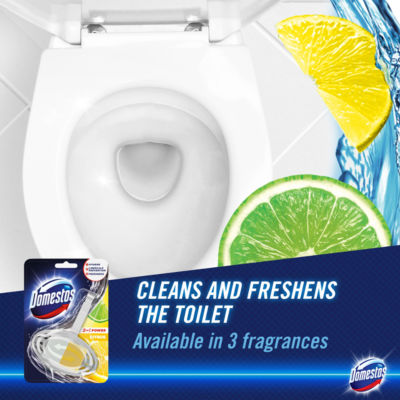 Domestos citrus toilet block 35g - British product