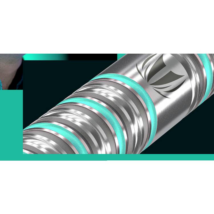 Target Darts Rob Cross Gen 2 25g 90% tungsten (British brand)