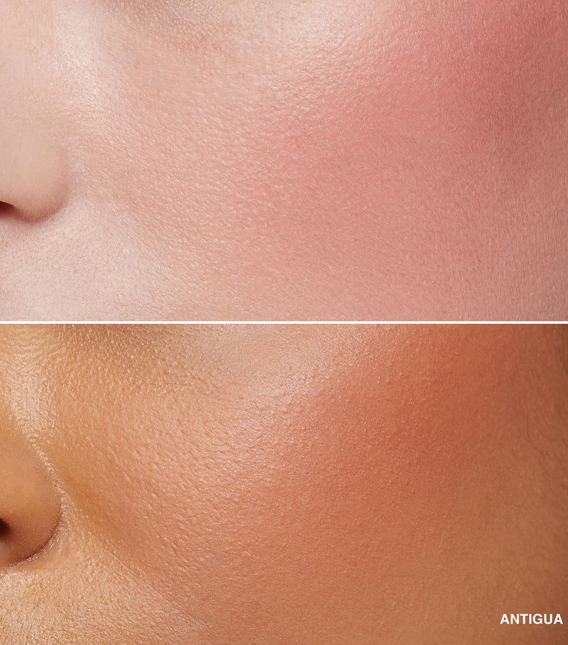 Bobbi Brown blush powder - British product
