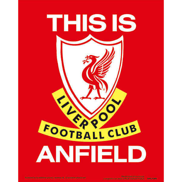 Liverpool FC Anfield stadium 3D model 20cm x 25cm (British brand)