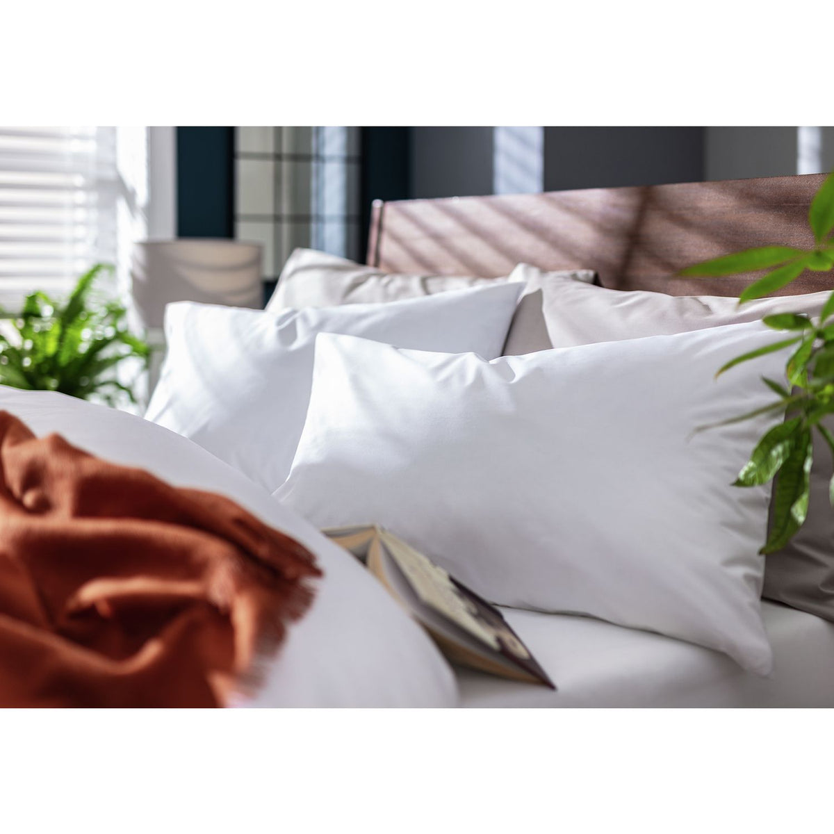 Habitat Cotton Rich 180 TC Standard Pillowcase Pair - White