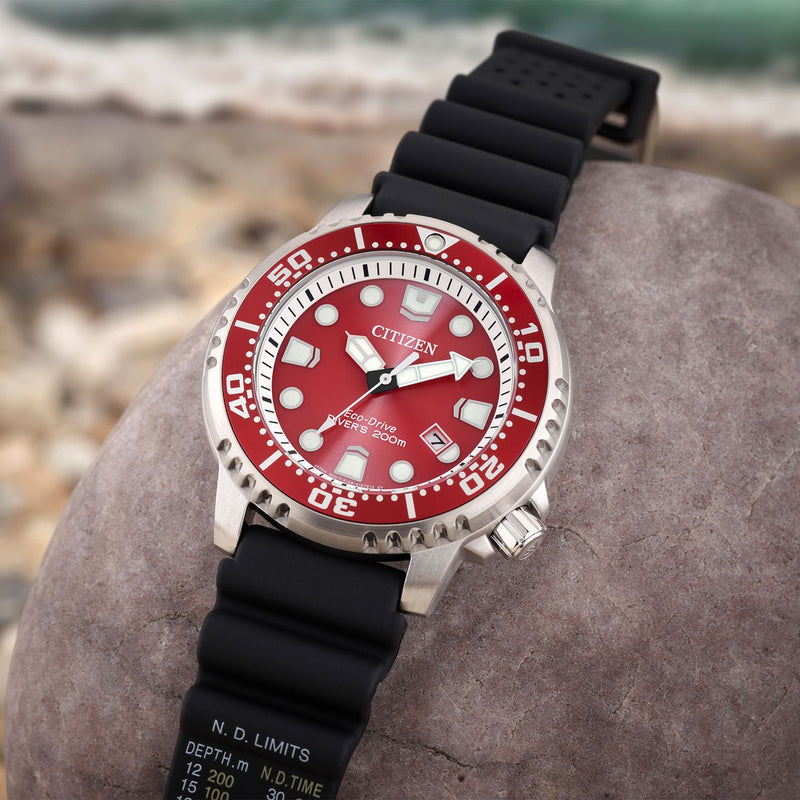 Citizen Eco-Drive dive watch with red dial and rubber strap (British brand)