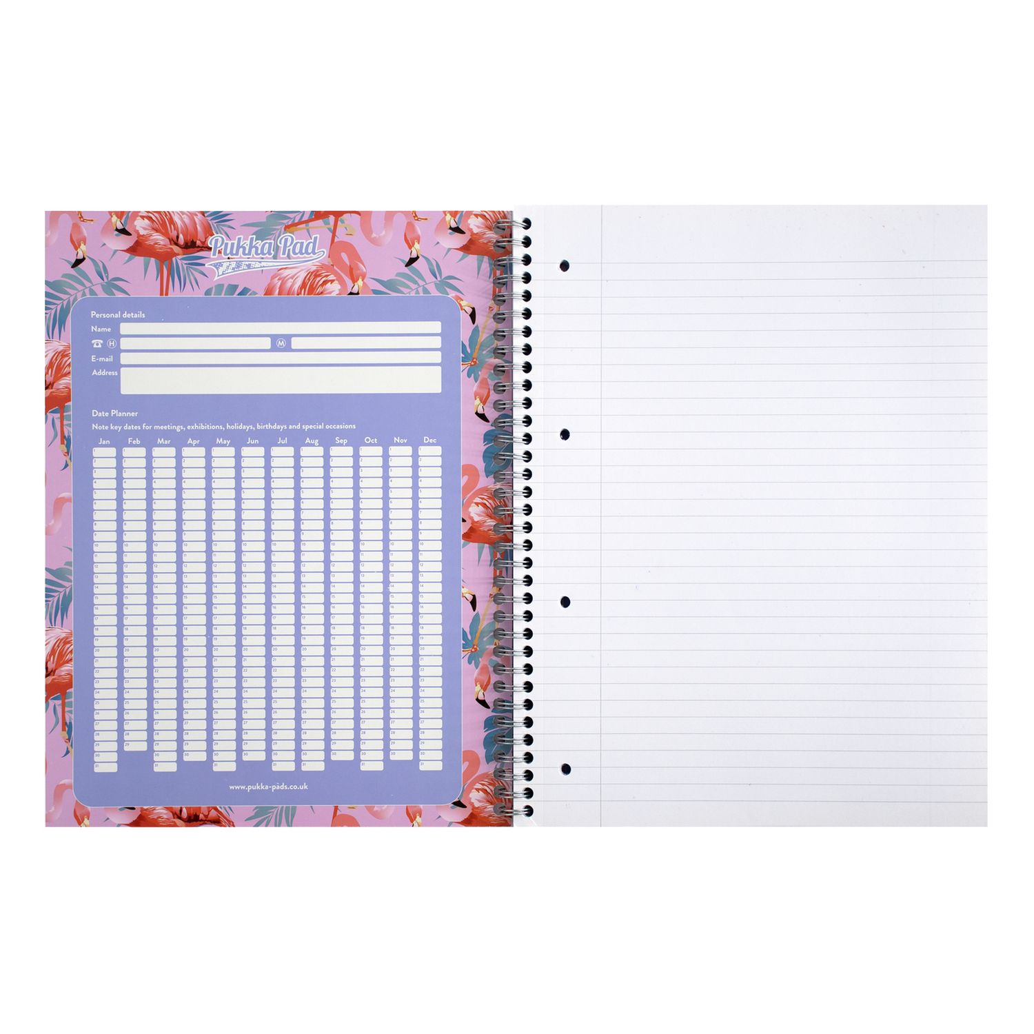 Pukka Pads A4 Jotta pastel notebook 3 pack, UK version