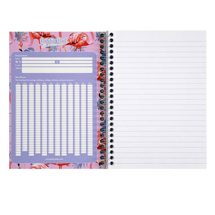 Pukka Pads A5 pastel Jotta notebook 3-pack, UK version