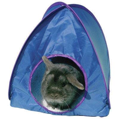Argos Rosewood Pop Up Rabbit Tunnel and Tent - Blue- Buy online at McGrocer