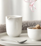 Villeroy & Boch porcelain cream jug 170ml (British brand)