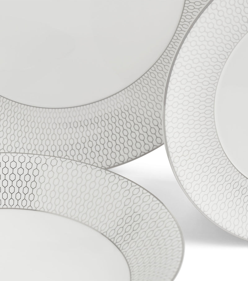 Wedgwood Gio Platinum dinnerware set of 12 pieces (British brand)