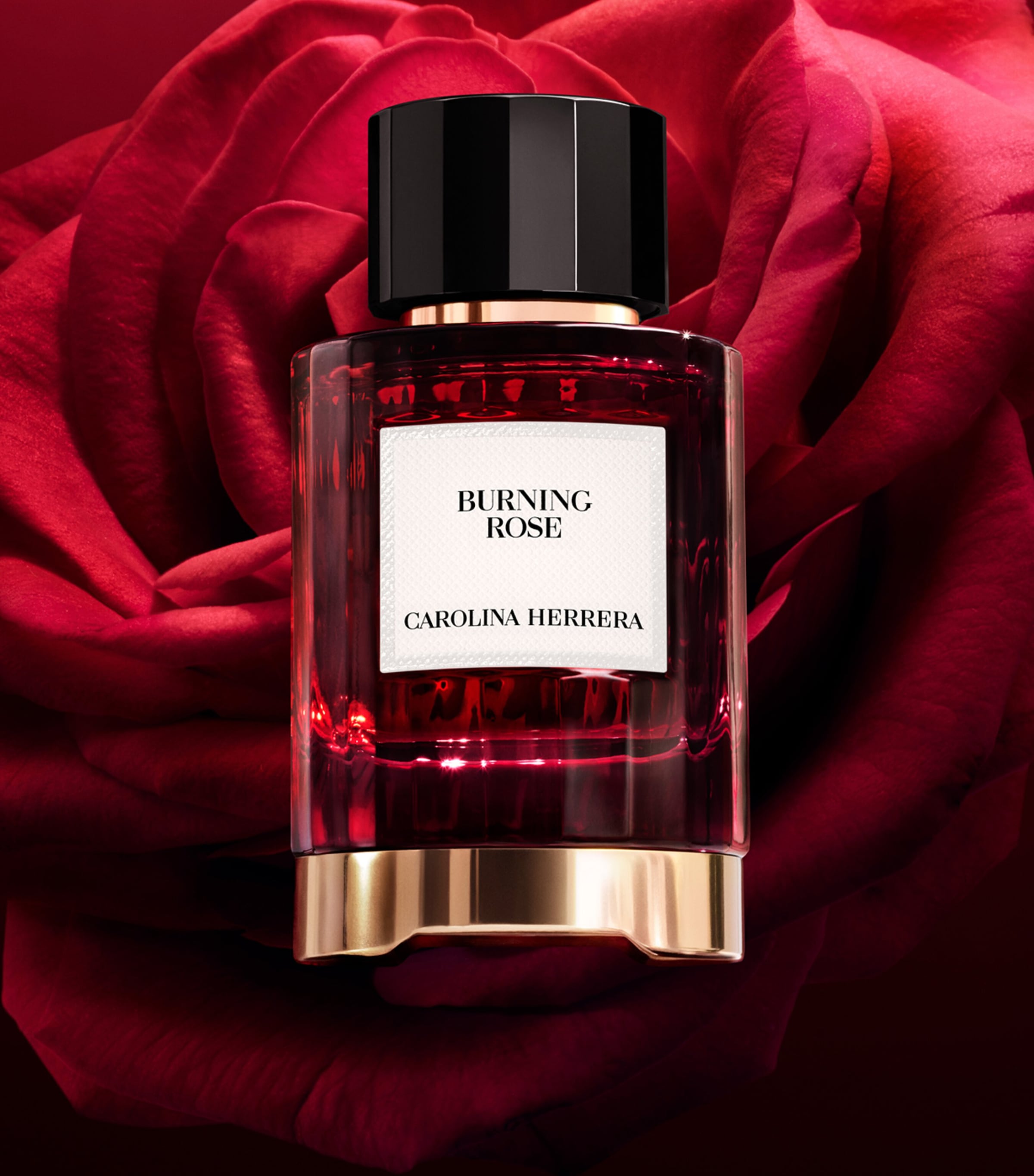 Carolina Herrera Burning Rose eau de parfum 100ml (British brand)