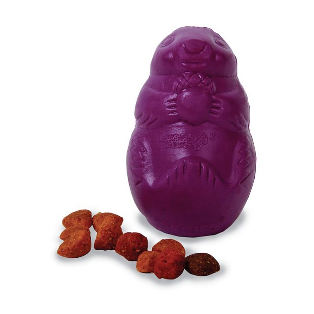 Best Buddy Squirrel Dude dog toy medium, UK version