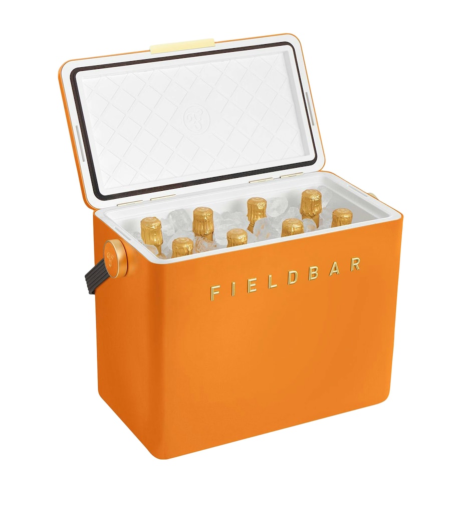 Fieldbar Gin Trunk cooler box 38x45x25cm, UK version