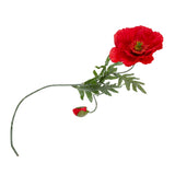 Habitat Single Stem Faux Red Poppy GOODS Sainsburys   