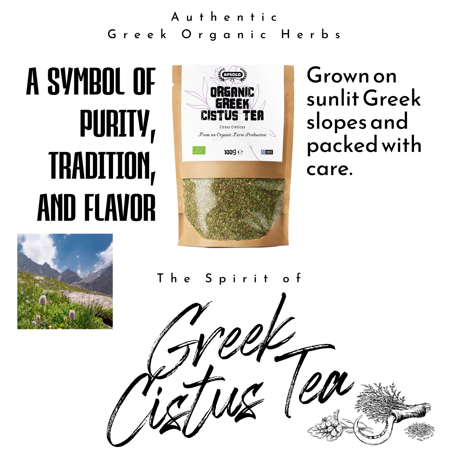 APSOGO organic cistus tea loose leaf 100g, imported from the UK